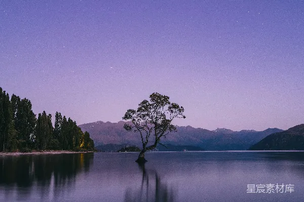 高清摄影 湖畔夜景中的孤树