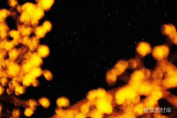 高清摄影 夜空下的光斑