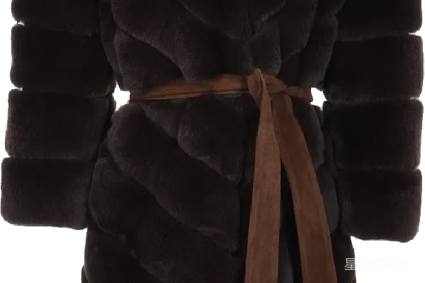 元素素材 狐狸