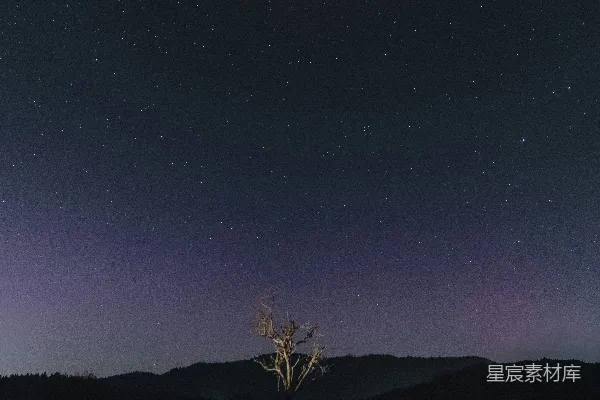 高清摄影 孤独的树与星空