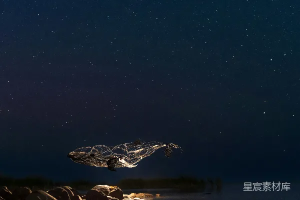 高清摄影 夜空中的鲸鱼：梦幻般的自然与艺术结合