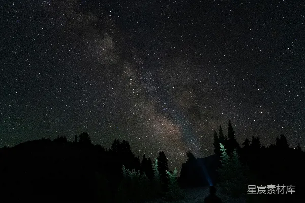高清摄影 夜空下的银河与森林剪影