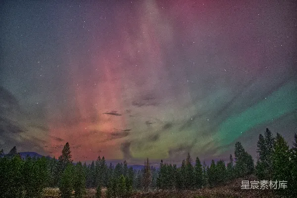 高清摄影 绚丽北极光下的林间夜景