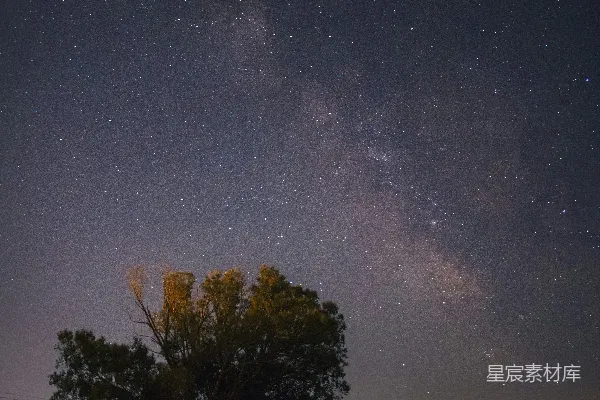 高清摄影 夜空中璀璨的银河与孤独的树