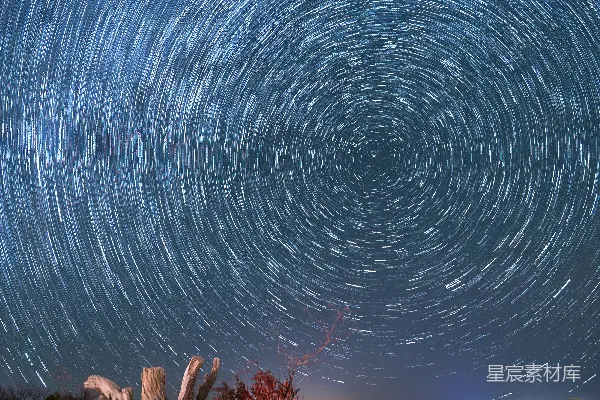 高清摄影 星轨下的枯木与红光