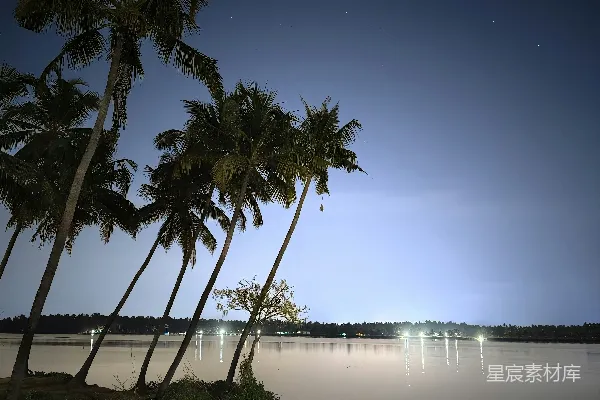 高清摄影 夜晚的椰林湖畔