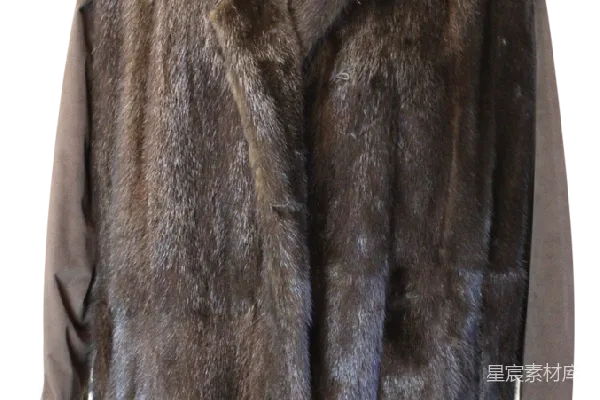 元素素材 狐狸