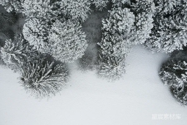 高清摄影 雪后的森林航拍