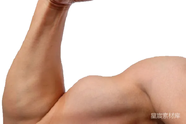 元素素材 肌肉