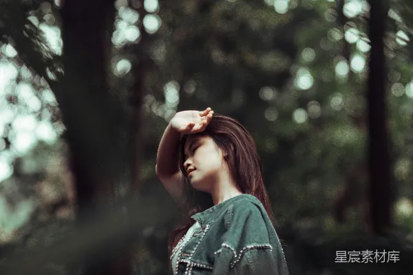高清摄影 森林深处的宁静时光