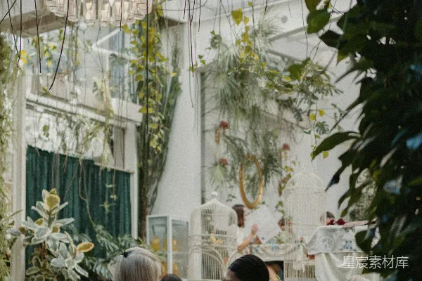 高清摄影 梦幻热带花园餐厅