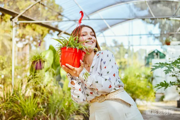 高清摄影 阳光下的花园乐园