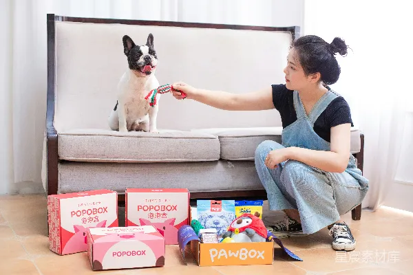 高清摄影 萌宠互动：POPOBOX与PAWBOX的惊喜体验