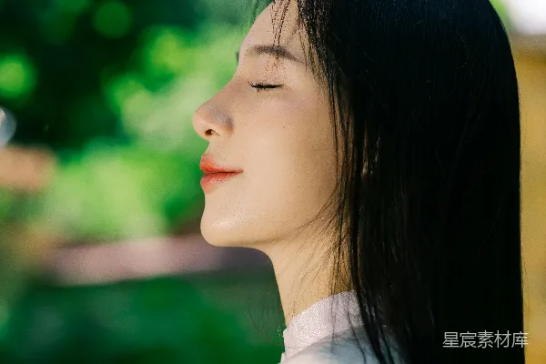 高清摄影 绿意盎然的夏日冥想