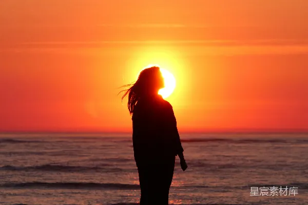 高清摄影 夕阳下的剪影