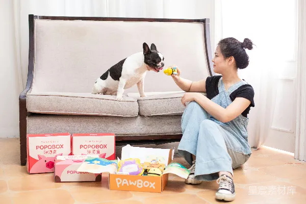 高清摄影 宠物主人与爱犬的温馨互动