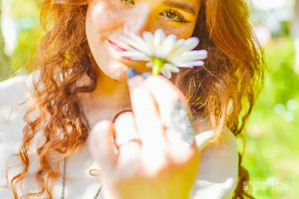高清摄影 阳光下的花香