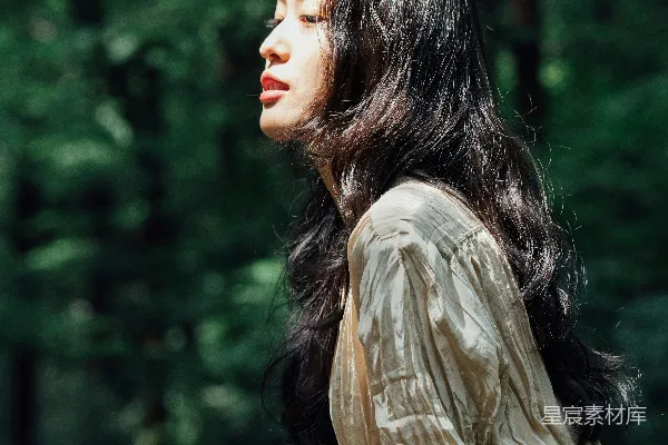 高清摄影 森林深处的宁静