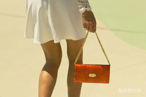 高清摄影 时尚女性手提橙色鳄鱼纹包