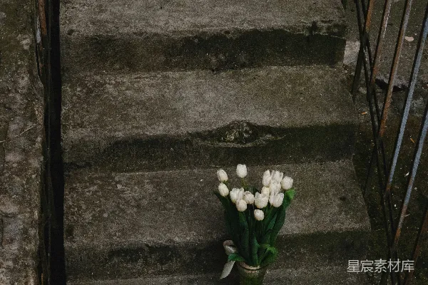 高清摄影 旧楼梯上的白色郁金香