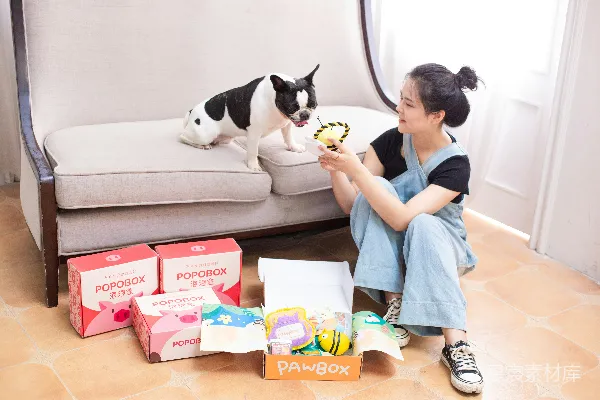 高清摄影 宠物主人与狗狗的温馨互动