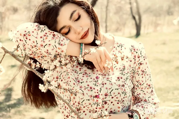 高清摄影 春风拂面，花海中的柔美时光