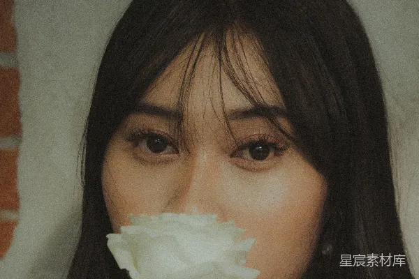 高清摄影 花与镜像的宁静
