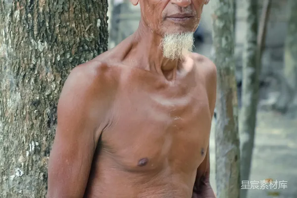 高清摄影 树下老人的静默时光
