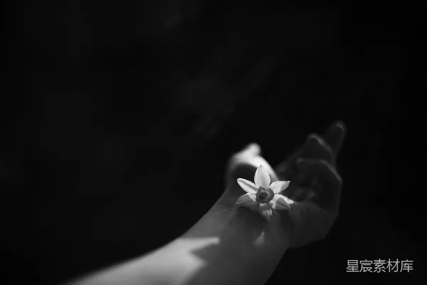 高清摄影 手上的花朵