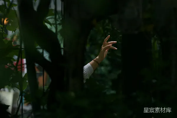 高清摄影 手与光影