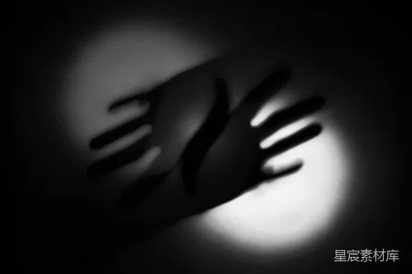 高清摄影 手影游戏