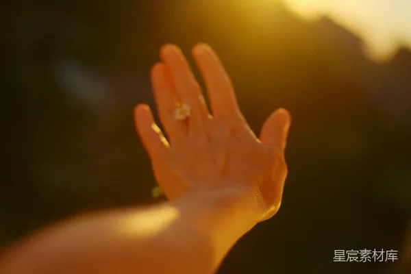 高清摄影 金色的掌心与光晕