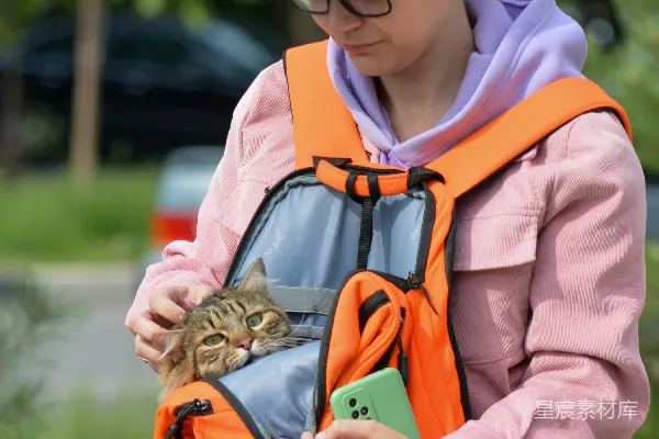 高清摄影 背着猫的户外探险者