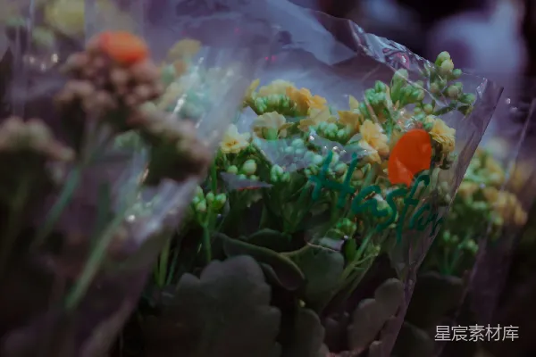 高清摄影 夜市里的花束