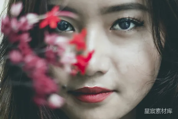 高清摄影 花影下的宁静瞬间