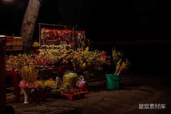 高清摄影 夜市上的花摊