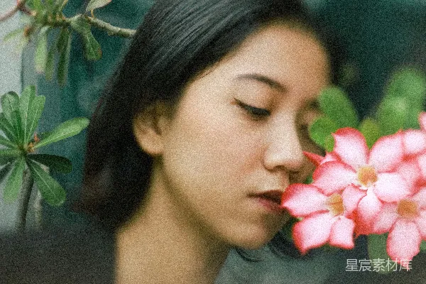 高清摄影 花香与静谧