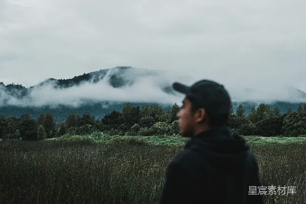 高清摄影 雾中静思