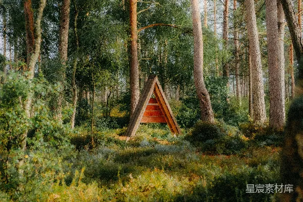 高清摄影 森林中的三角小屋