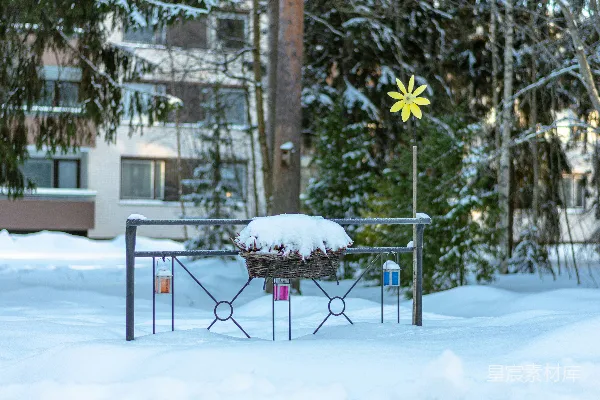 高清摄影 冬日雪景中的小花园