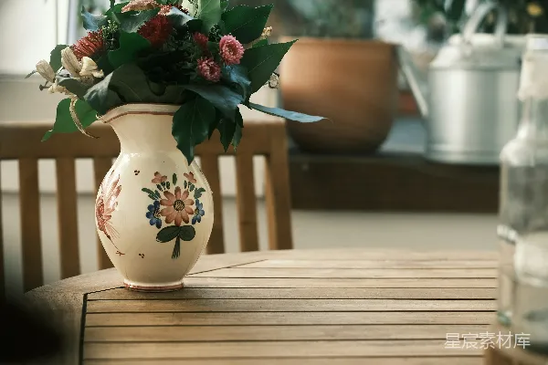 高清摄影 阳光下的花瓶与绿植