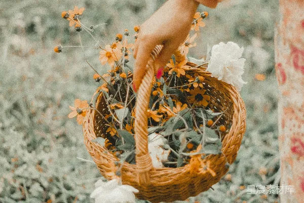高清摄影 手提花篮的自然之美