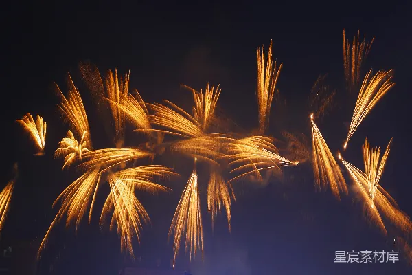 高清摄影 夜空中的金光绽放