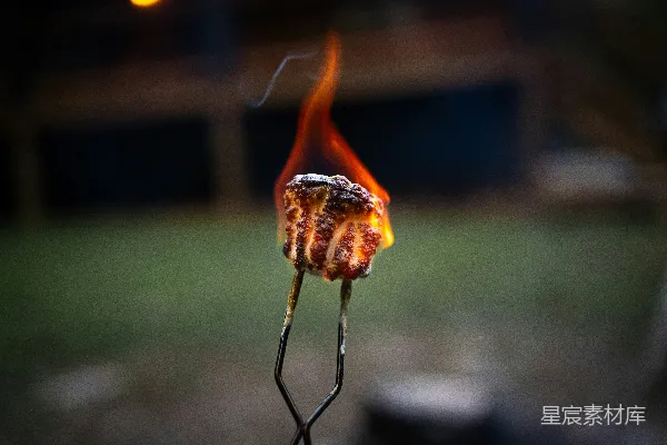 高清摄影 篝火上的烤肉