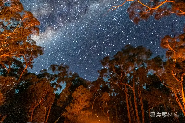 高清摄影 星空下的露营之夜