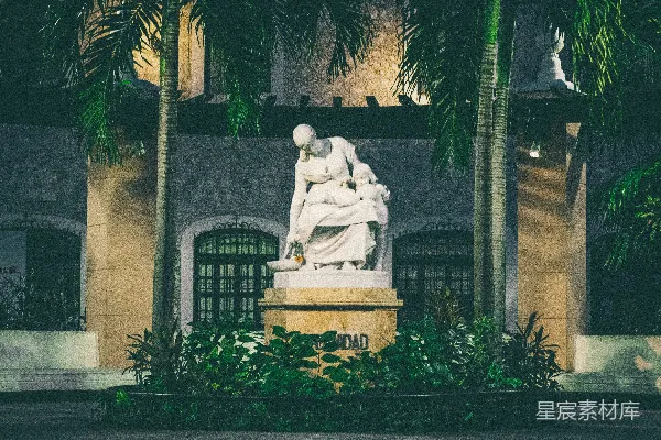 高清摄影 夜晚的雕像与绿植