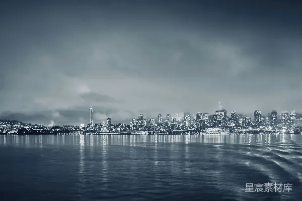高清摄影 雾中夜景：城市与水的交响