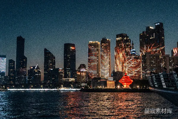 高清摄影 夜幕下的城市天际线