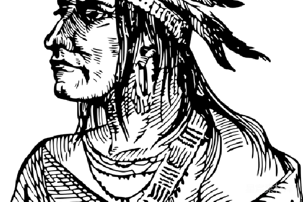 元素素材 美国