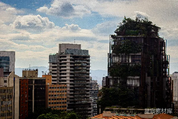 高清摄影 城市中的垂直森林